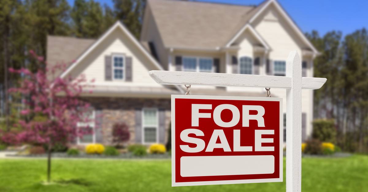 What to know about flat fee realtors? Daily free News