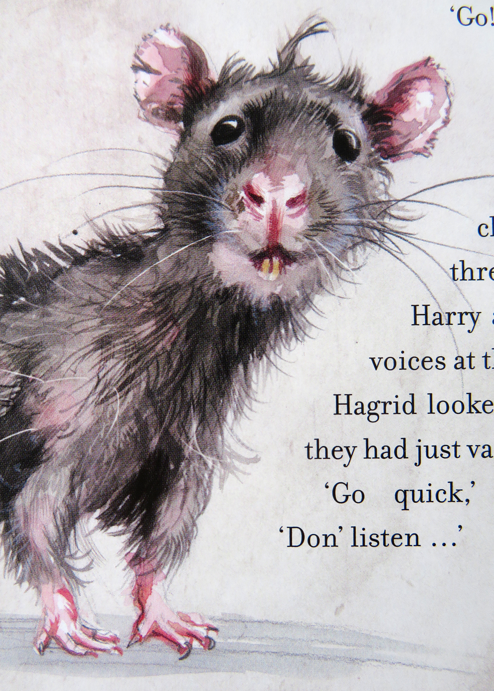 Scabbers the rat Cotsen Children’s Library Scabbers the rat Cotsen Children’s Library
