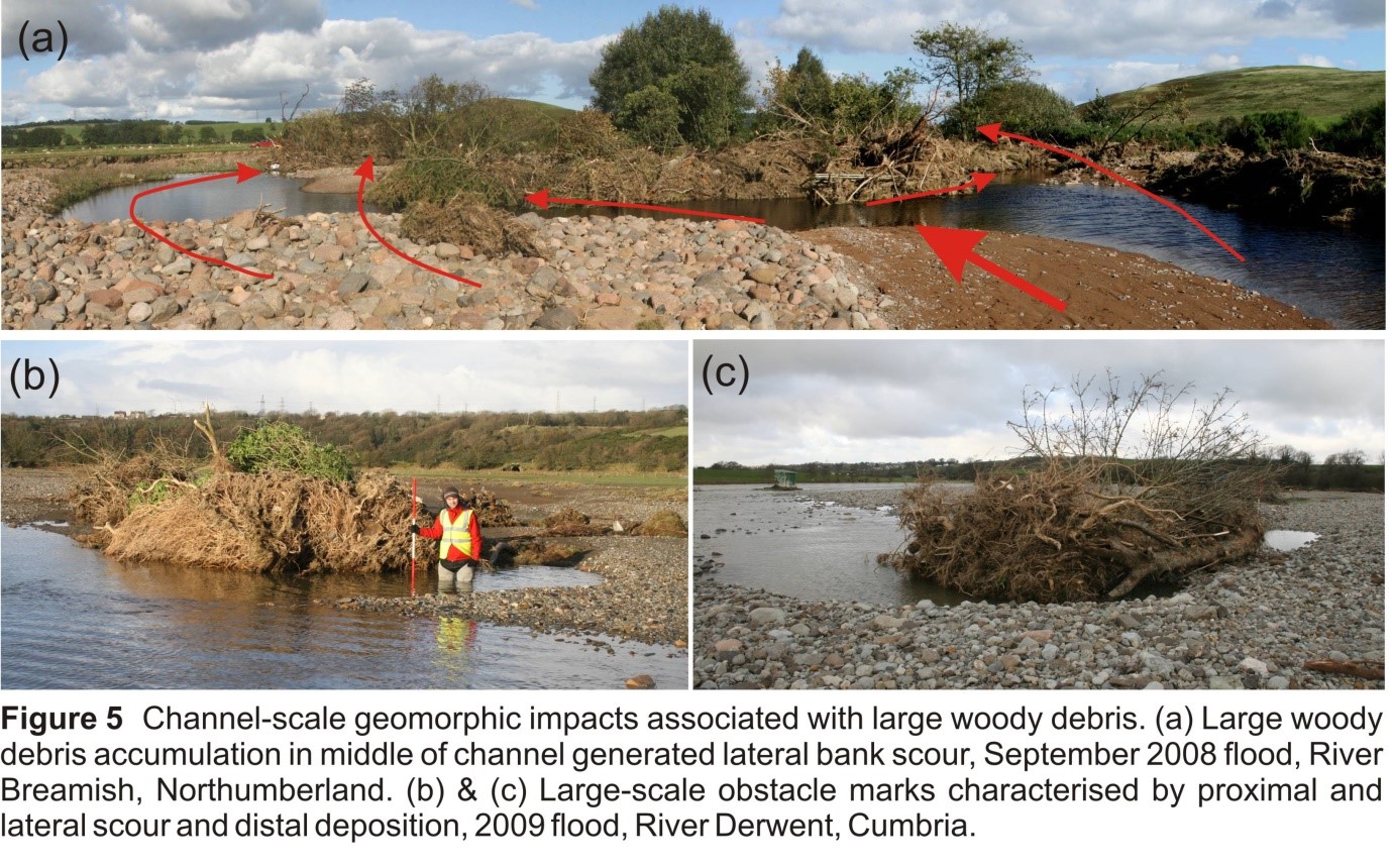 The role of woody debris during floods insights from observations of