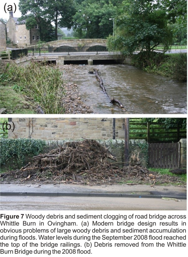 The role of woody debris during floods insights from observations of