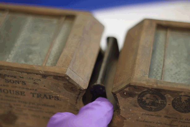 How a mouse died in our Victorian mouse trap Our Country Lives the new MERL blog