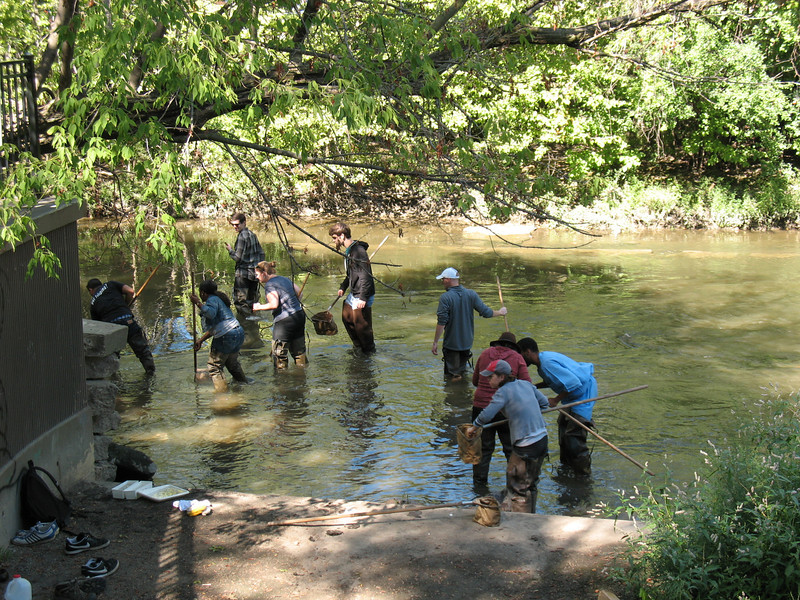 Assessing Water Quality on the Chicago River’s North