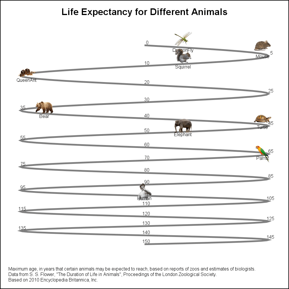 Animal Life Expectancy Chart