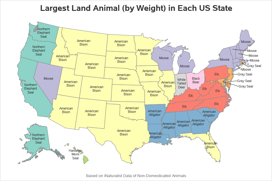 What's the largest animal in each U.S. state? Graphically Speaking
