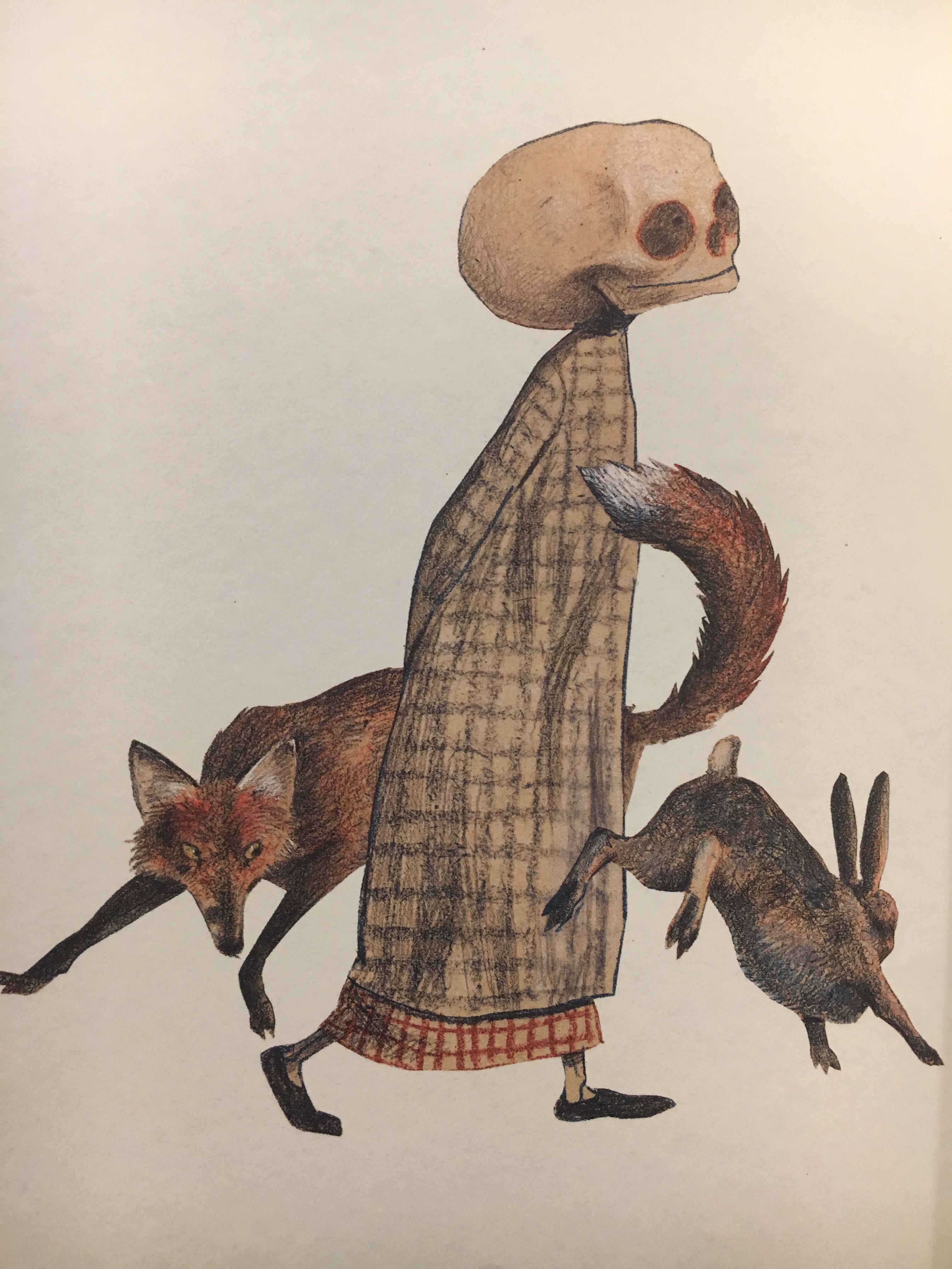 Fuse 8 n’ Kate Duck, Death, and the Tulip by Wolf Erlbruch