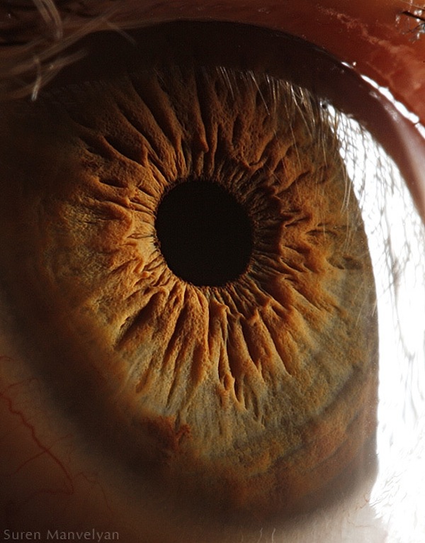 The Science Behind These Amazing Photographs of the Human Eye Smart