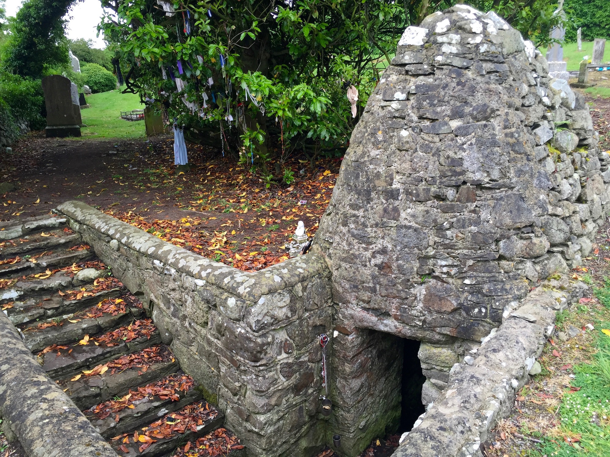 An Exploration of the Irish Holy Wells of St. Brigid In Context