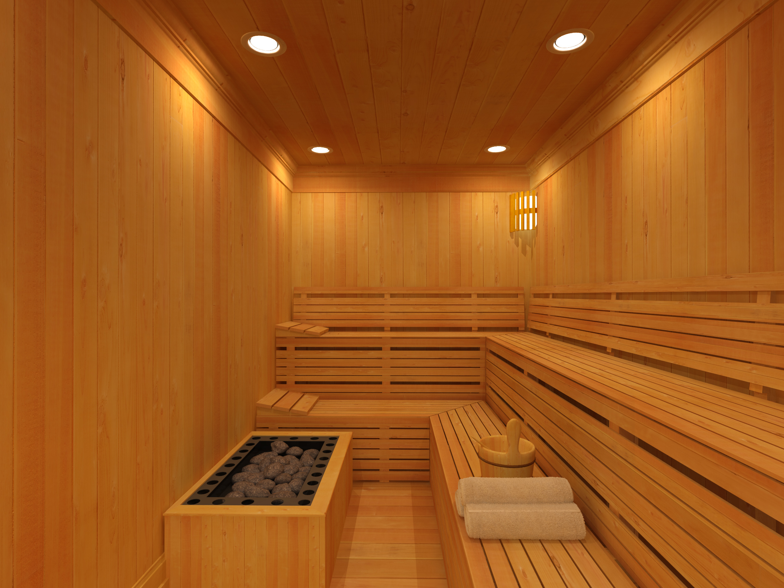 Swedish challenge Going naked to the sauna Study in Sweden the
