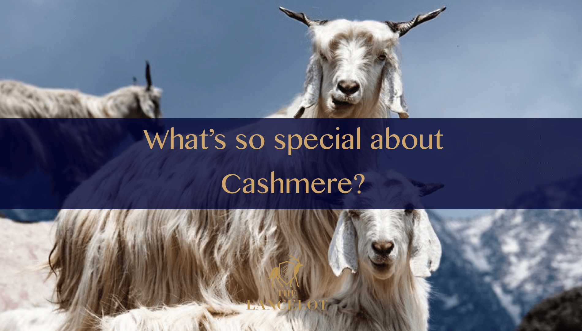 Cashmere Landscape TailorM