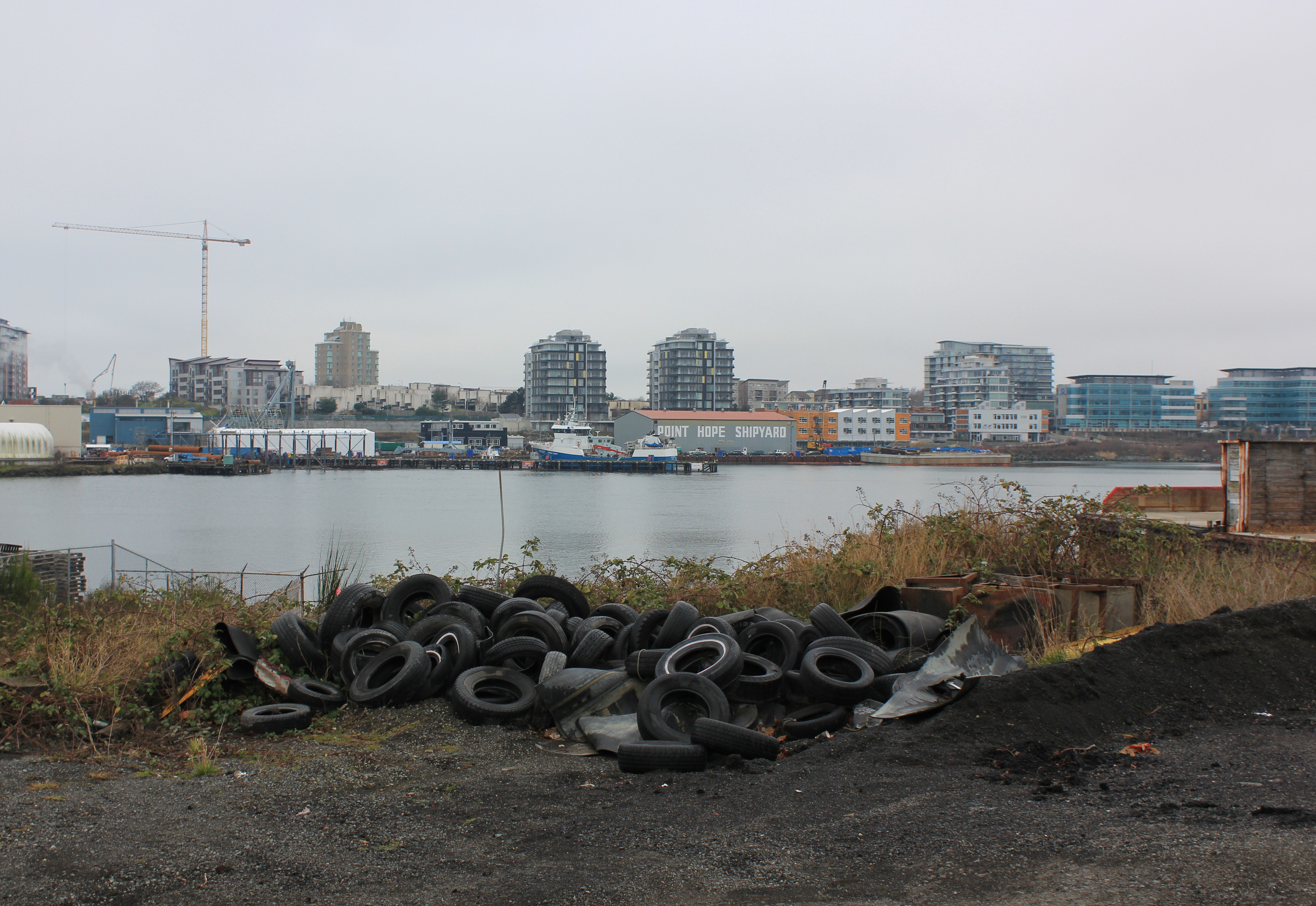 January 2013 Eric Brunt's Photographs