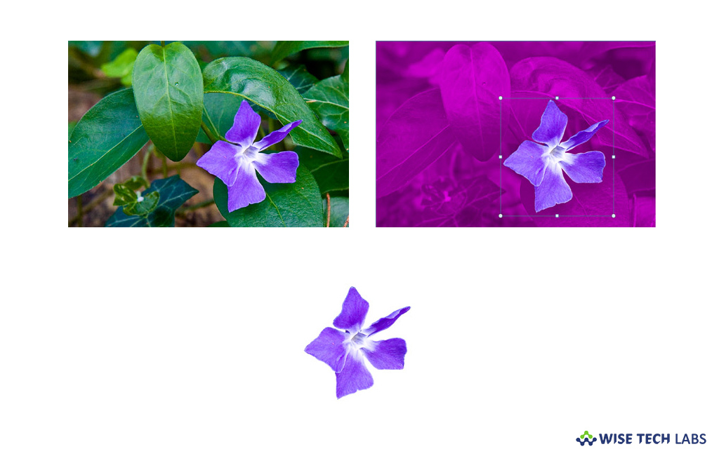 How to remove the background of a picture in Microsoft Word 2016 Blog