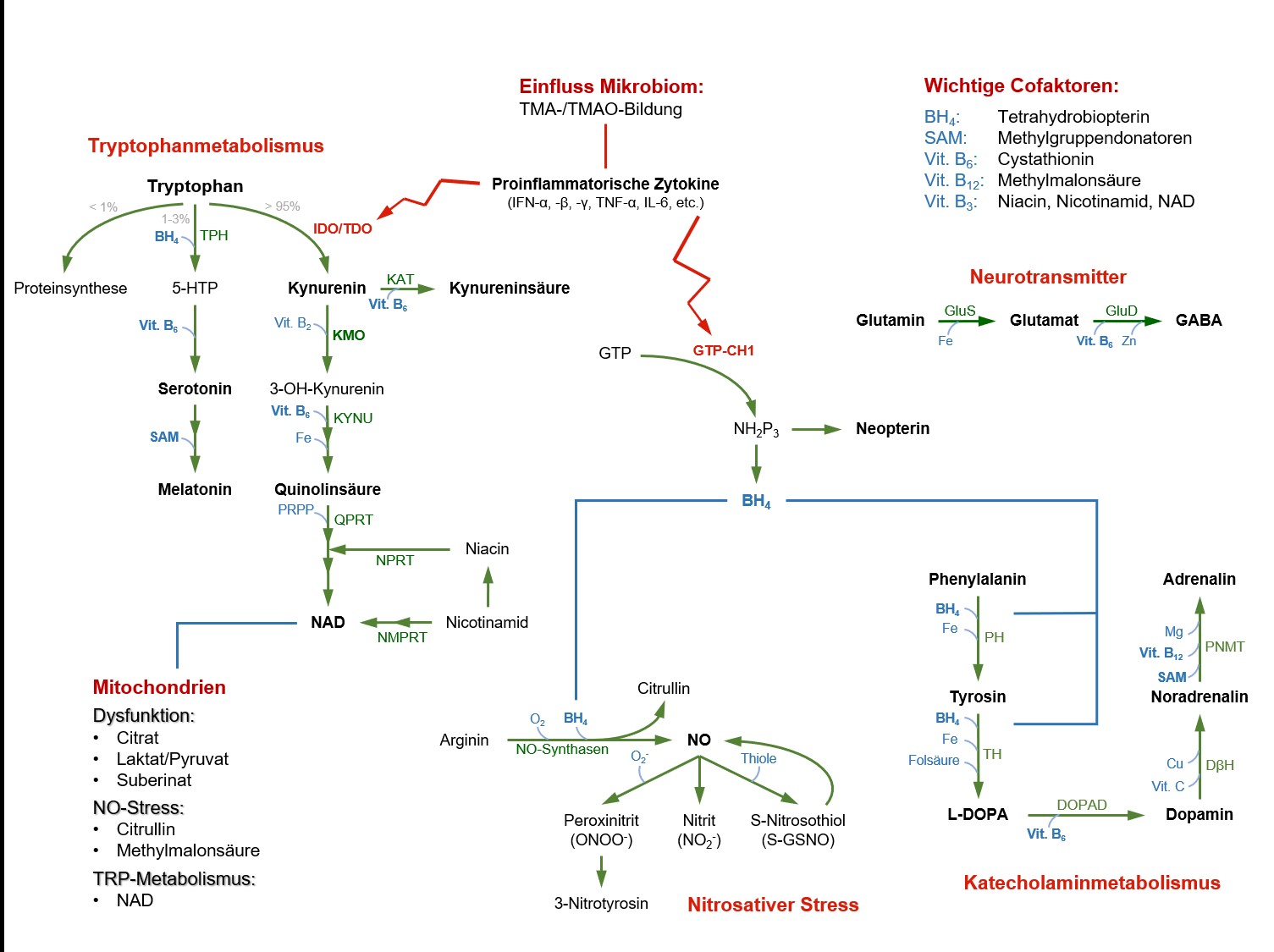 Metabolomuntersuchungen bei Angst und Belastungsstörungen nach