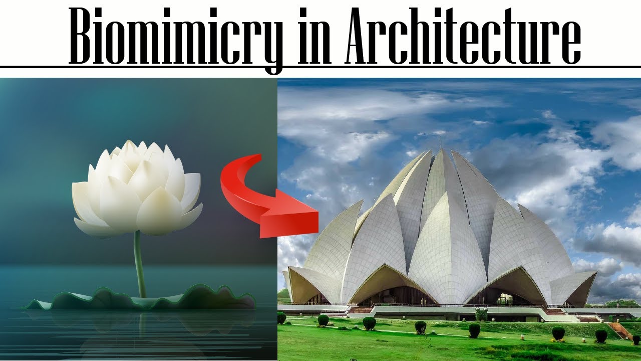 10 Stunning examples of Biomimicry in Architecture