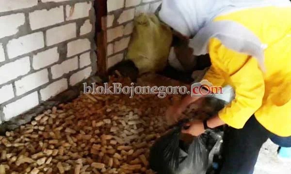 Jamur Merang Cyber extension