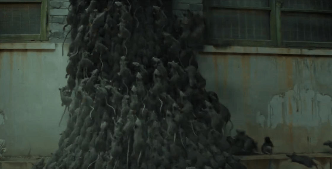 Chinese Movie 'Rat Train' Looks Like 'Train to Busan' But All the