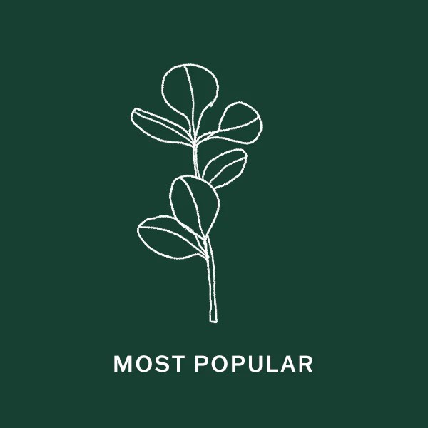 Local Flowers and Gifts Bloom Floral Algona