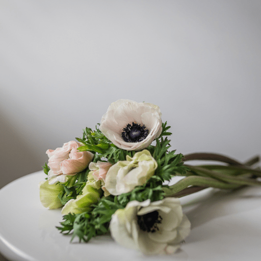 How To Care For Cut Anemones Bloom College