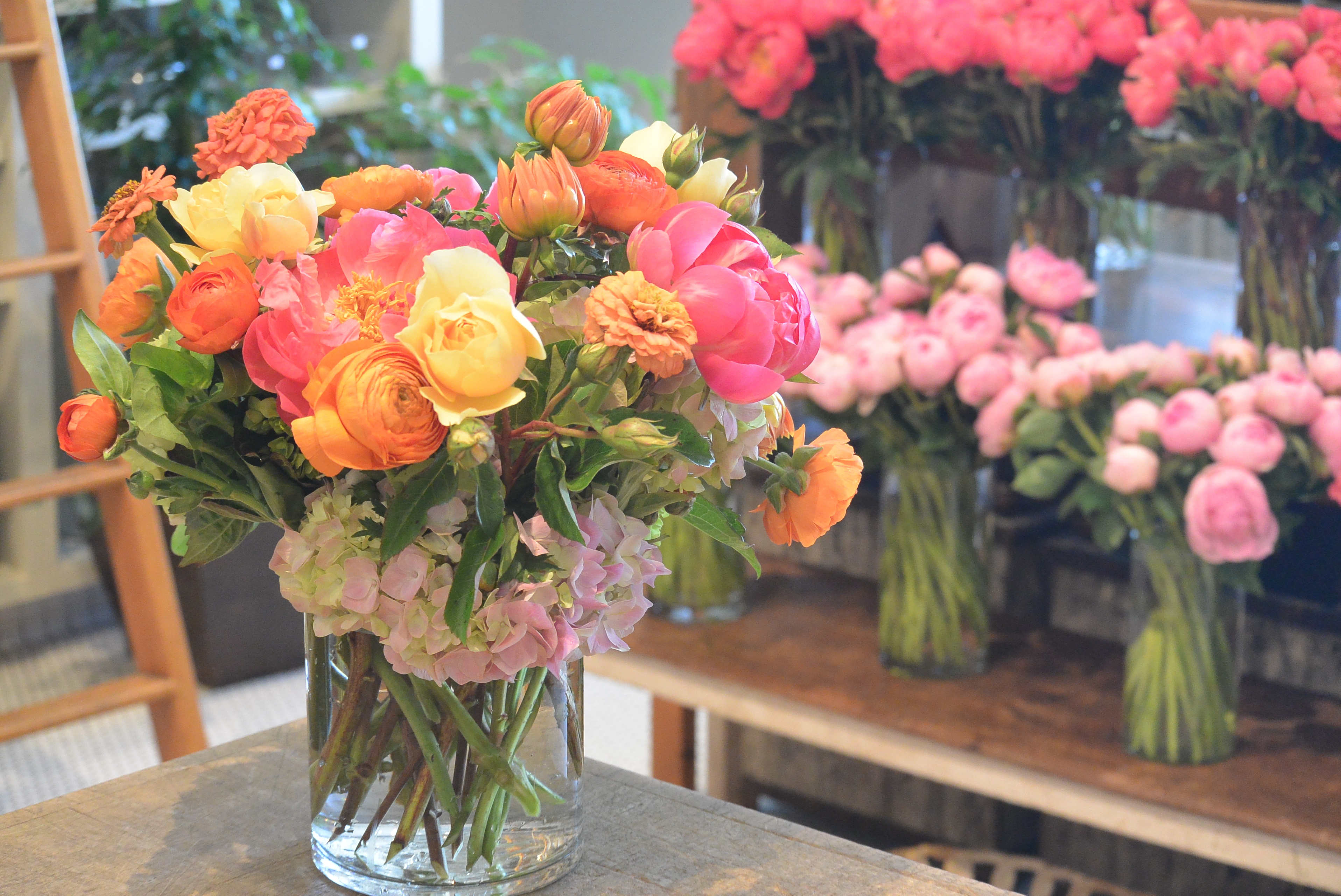 bloomers San Francisco FullService Florist