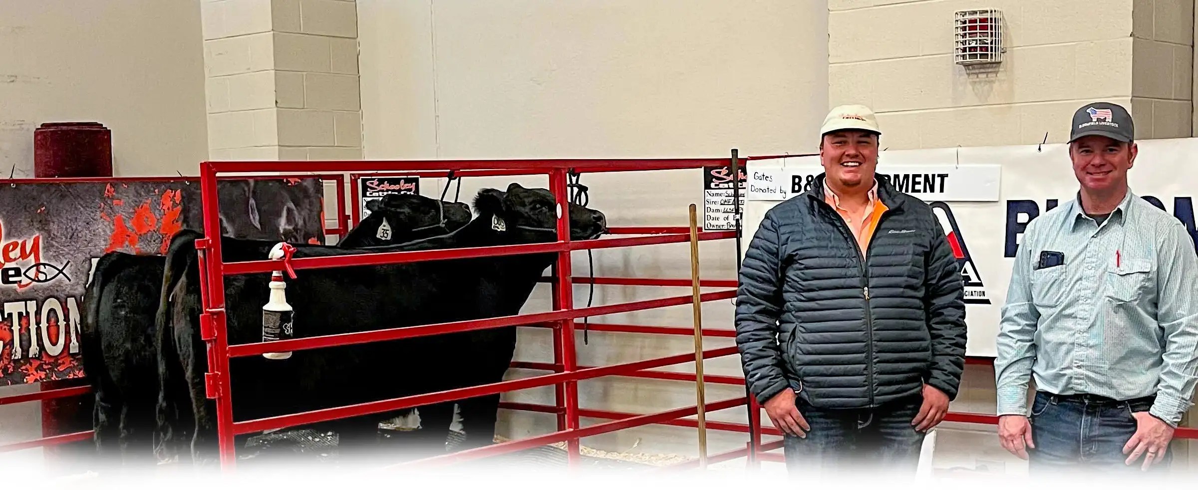 Home Bloomfield Livestock Market, Inc. Iowa Cattle