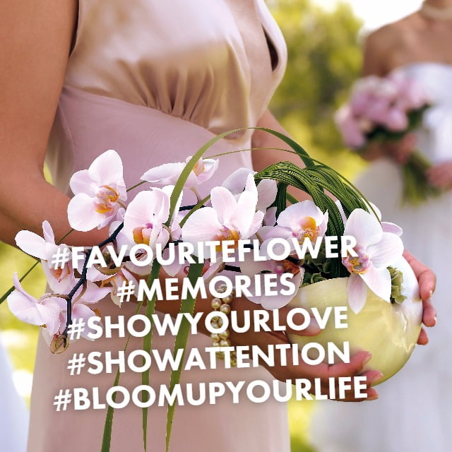 Your favourite flower as a present, who wouldn’t want that? Bloomifique