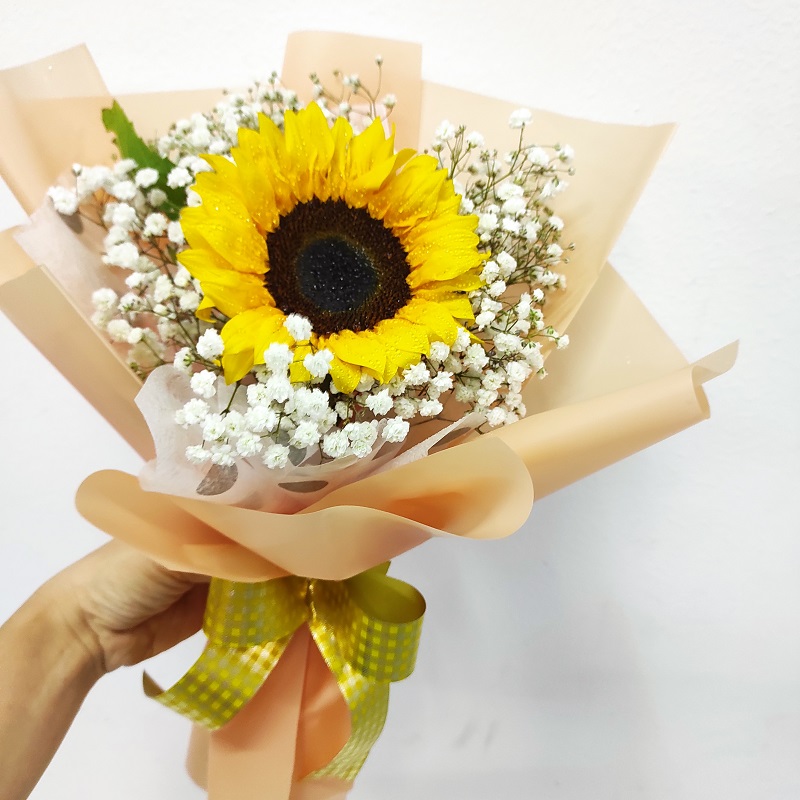 Single stalk Sunflower bouquet Blooming