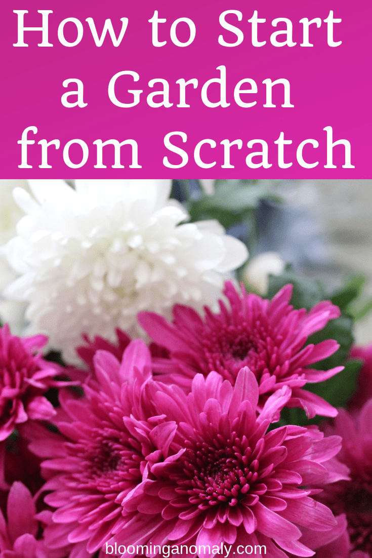 How to Start a Garden from Scratch Blooming Anomaly