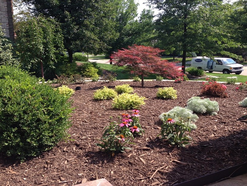 Denny McKeown's Bloomin Garden Centre and Landscape