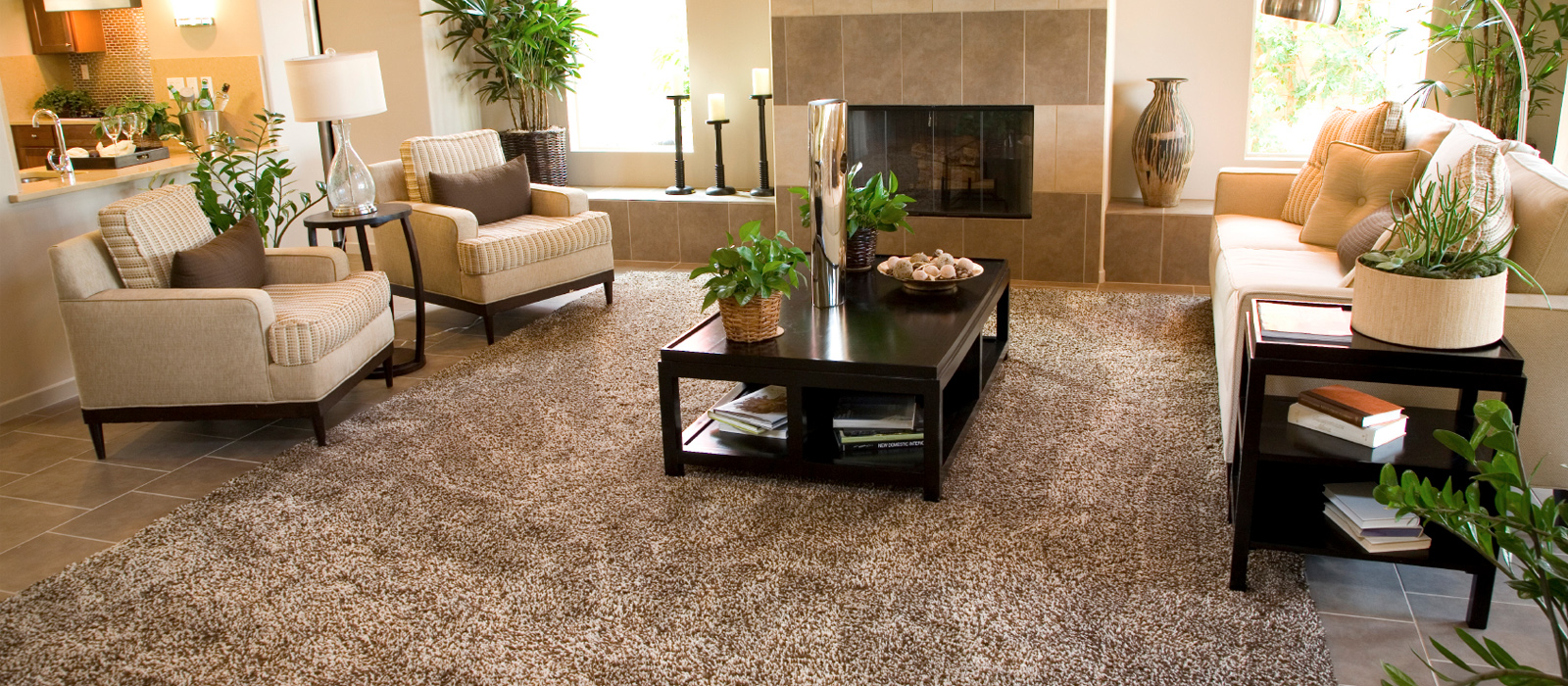Carpet & Rug Cleaning Washington DC Bloomingdale DC Carpet Cleaners