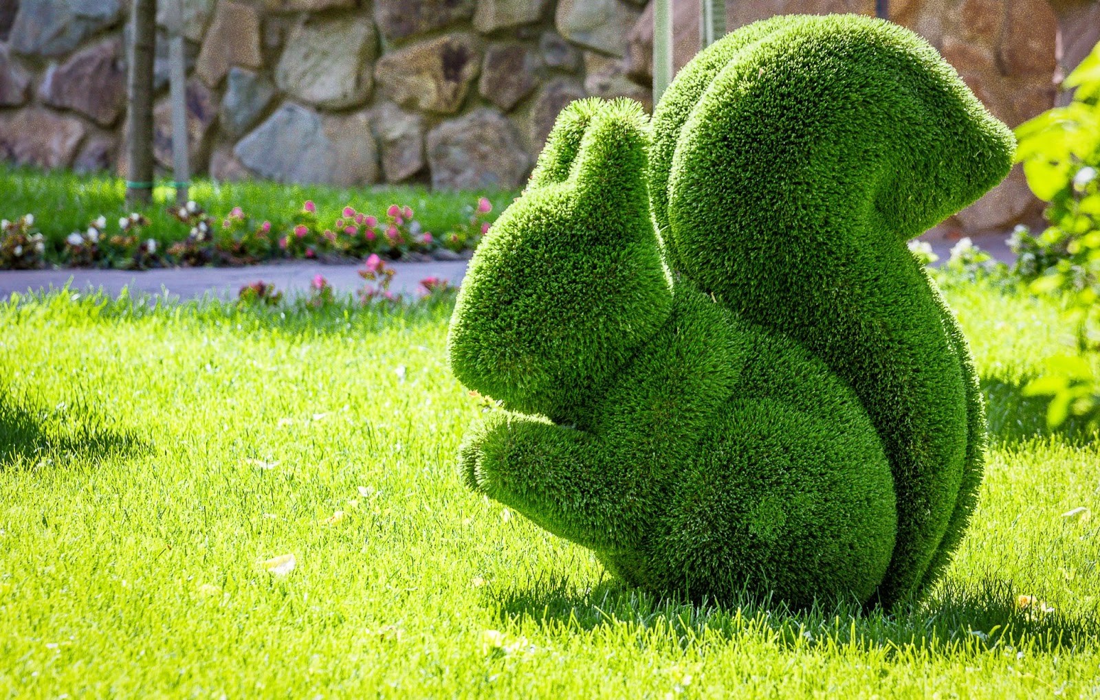 Topiary Shapes Blooming Lucky