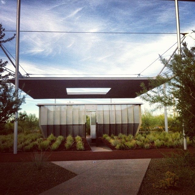 My 10 Favorite Things to See and Do When I Visit Phoenix Blooming Rock