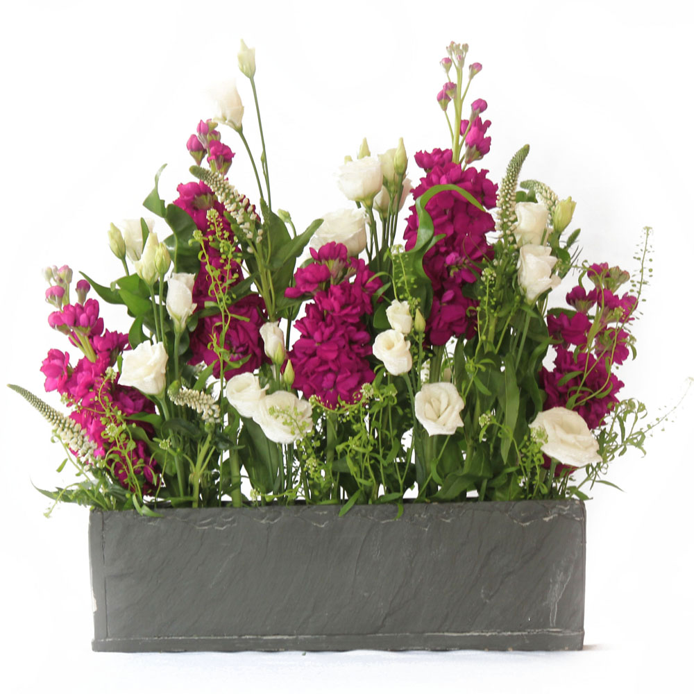 Arrangements • Bloom Line Flowers