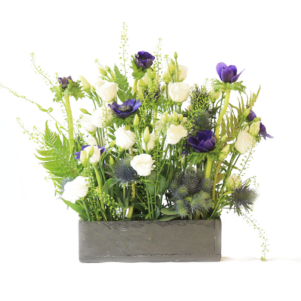 Arrangements • Bloom Line Flowers