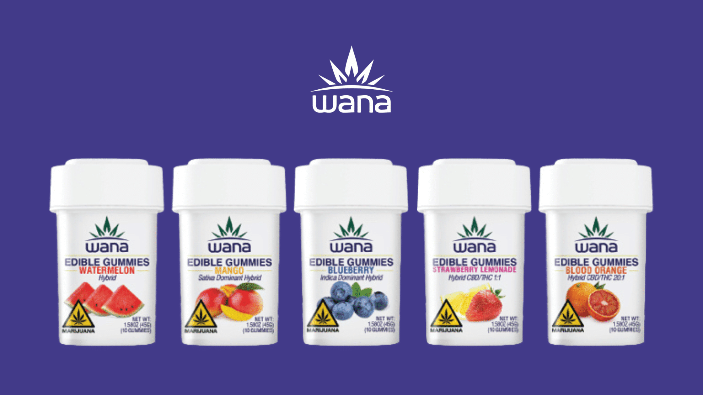 How to Choose the Best Cannabis Edible? Bloom Montana