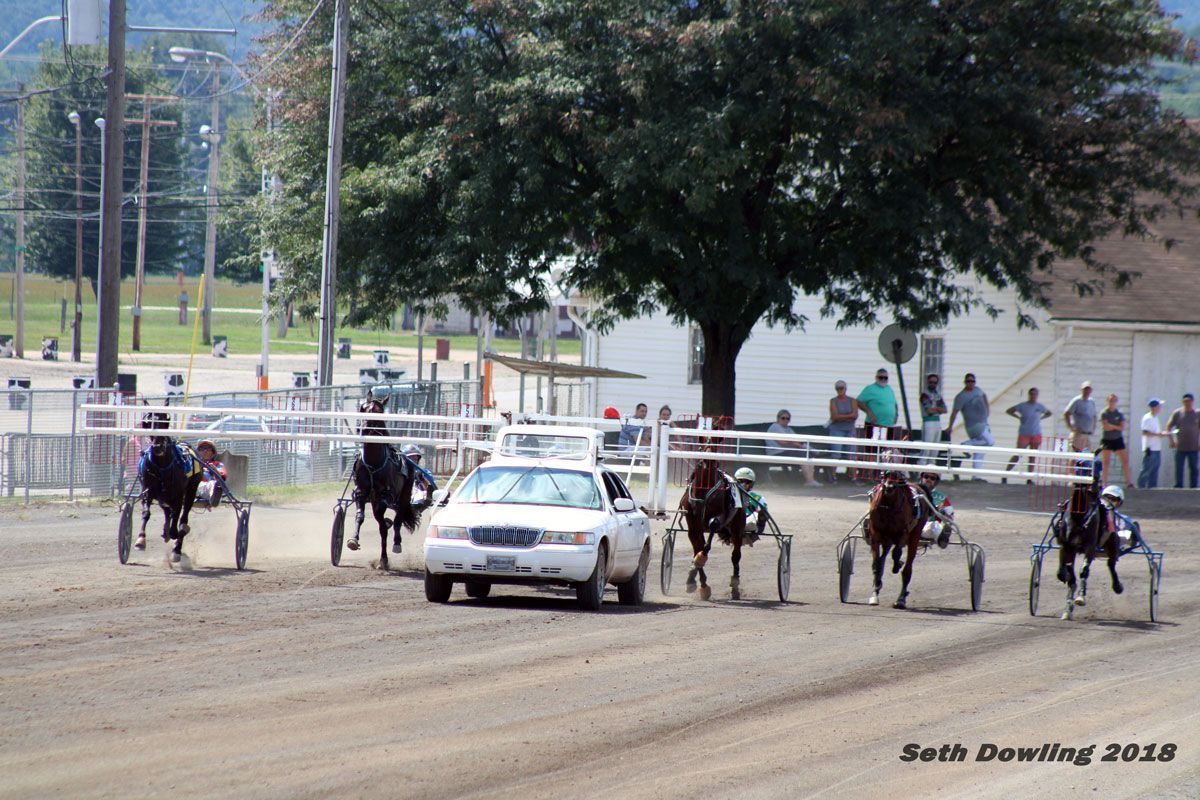 Harness Racing Bloomsburg Fair