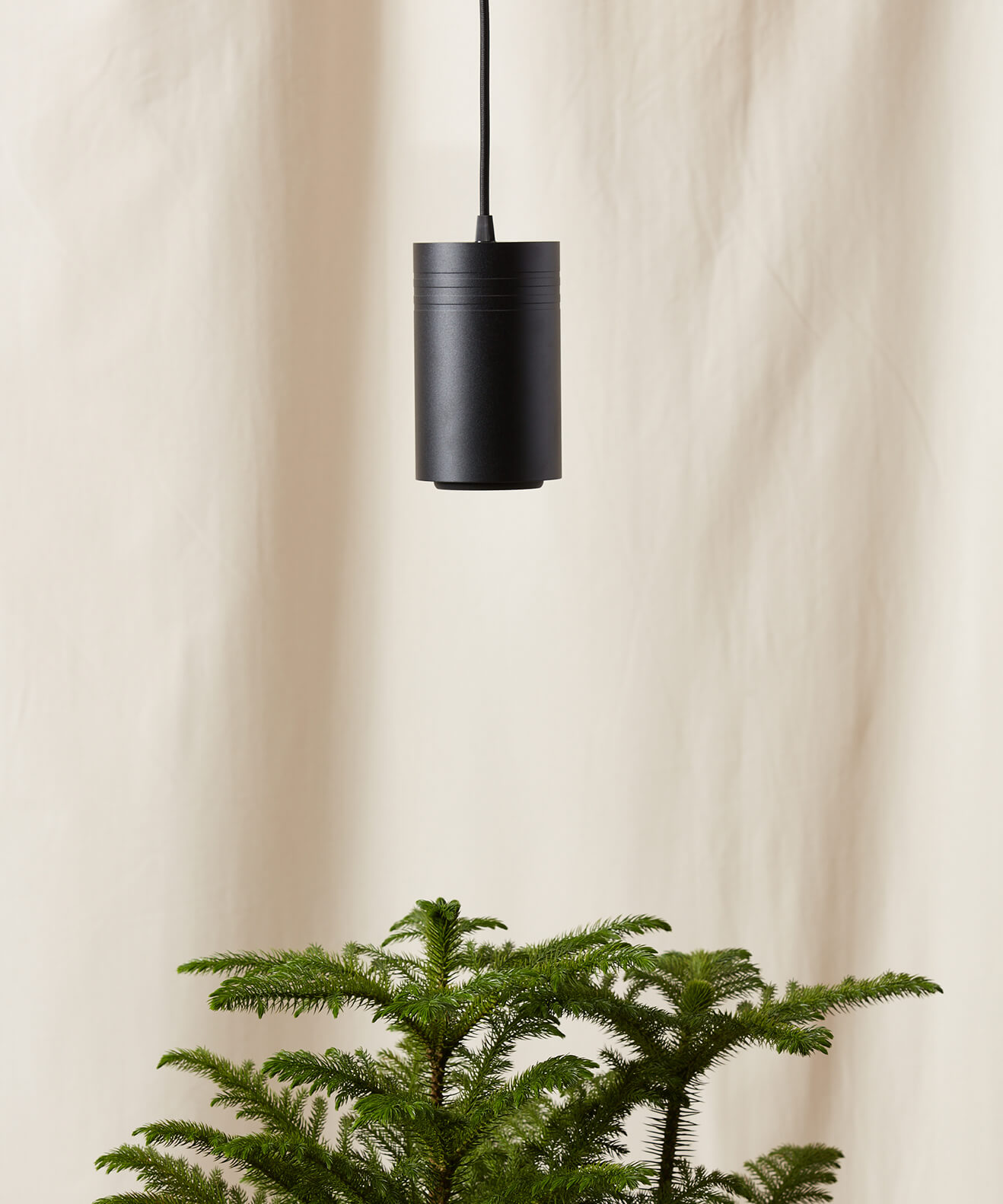 Hanging Grow Lights From Ceiling Shelly Lighting