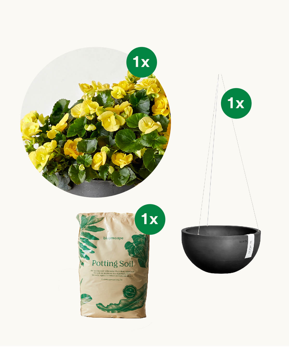 Hanging Basket Set for Shaded Outdoor Gardens Bloomscape