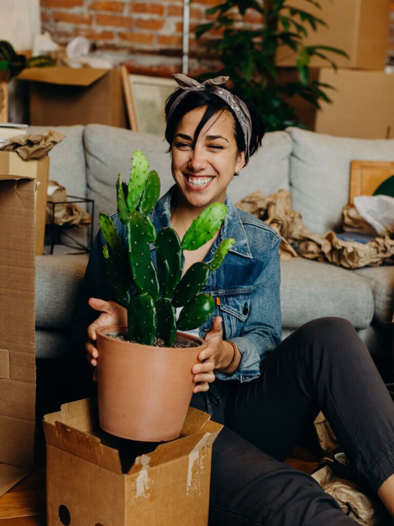 Potted Indoor Plant Gifts for Delivery Bloomscape