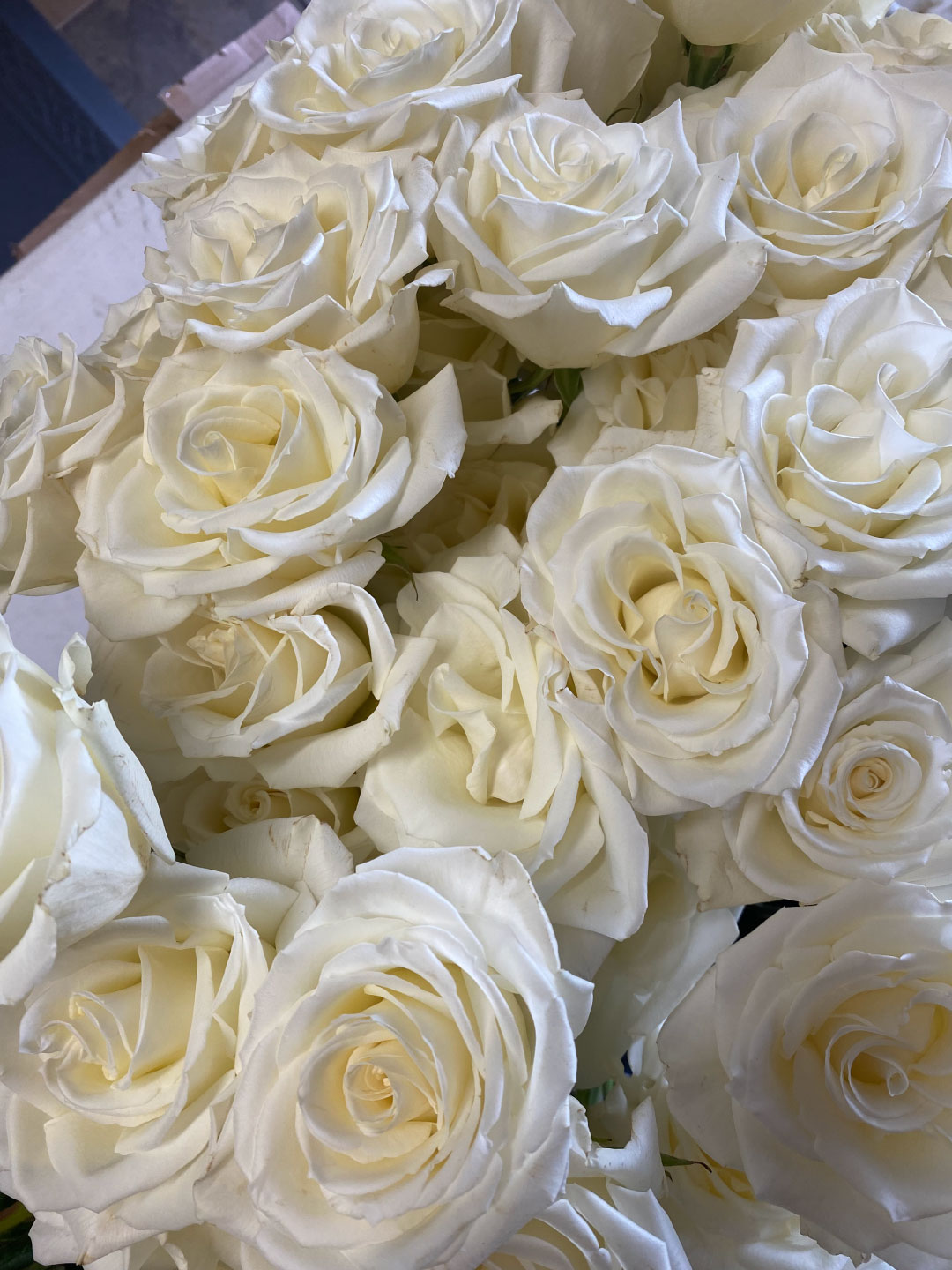 The Best Flowers to Use at Your Wedding Bloom