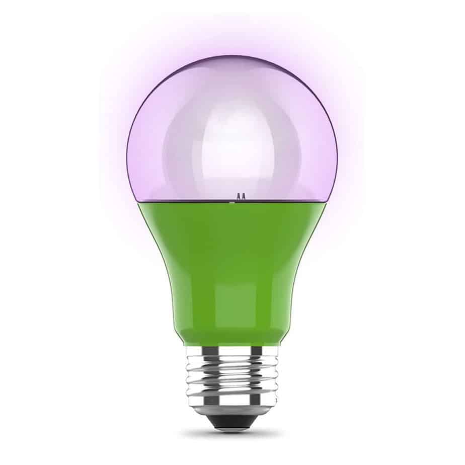 Grow Lights for Houseplants 101 Things to Know Before Buying