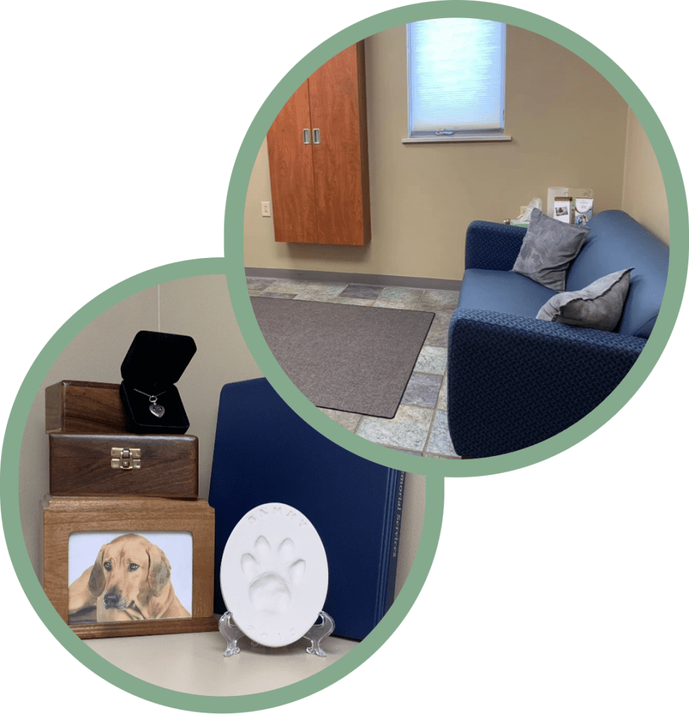 Pet Loss Bloomsburg Vet Hospital