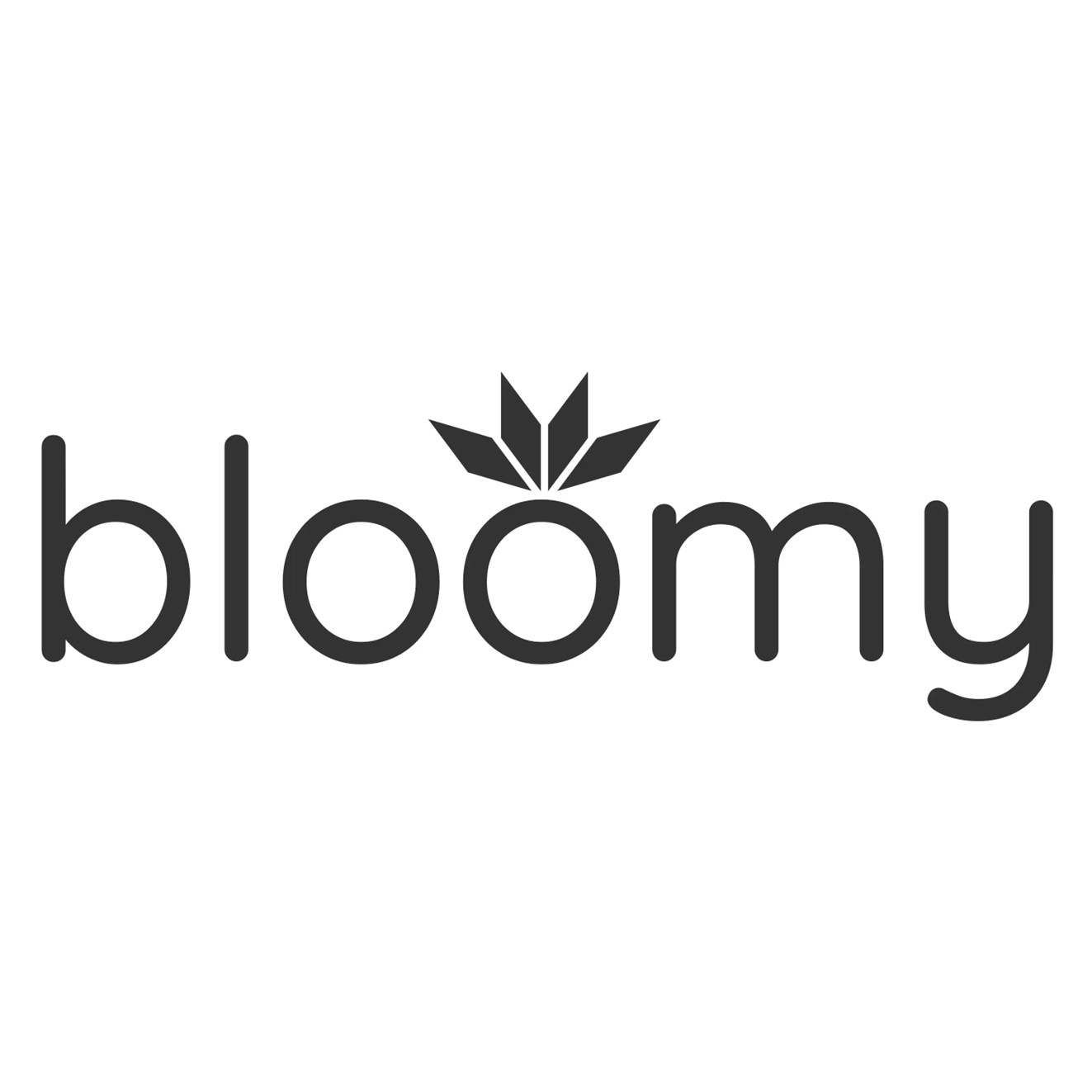 Nettbutikk med sminke, kosmetikk og accessories bloomy.no