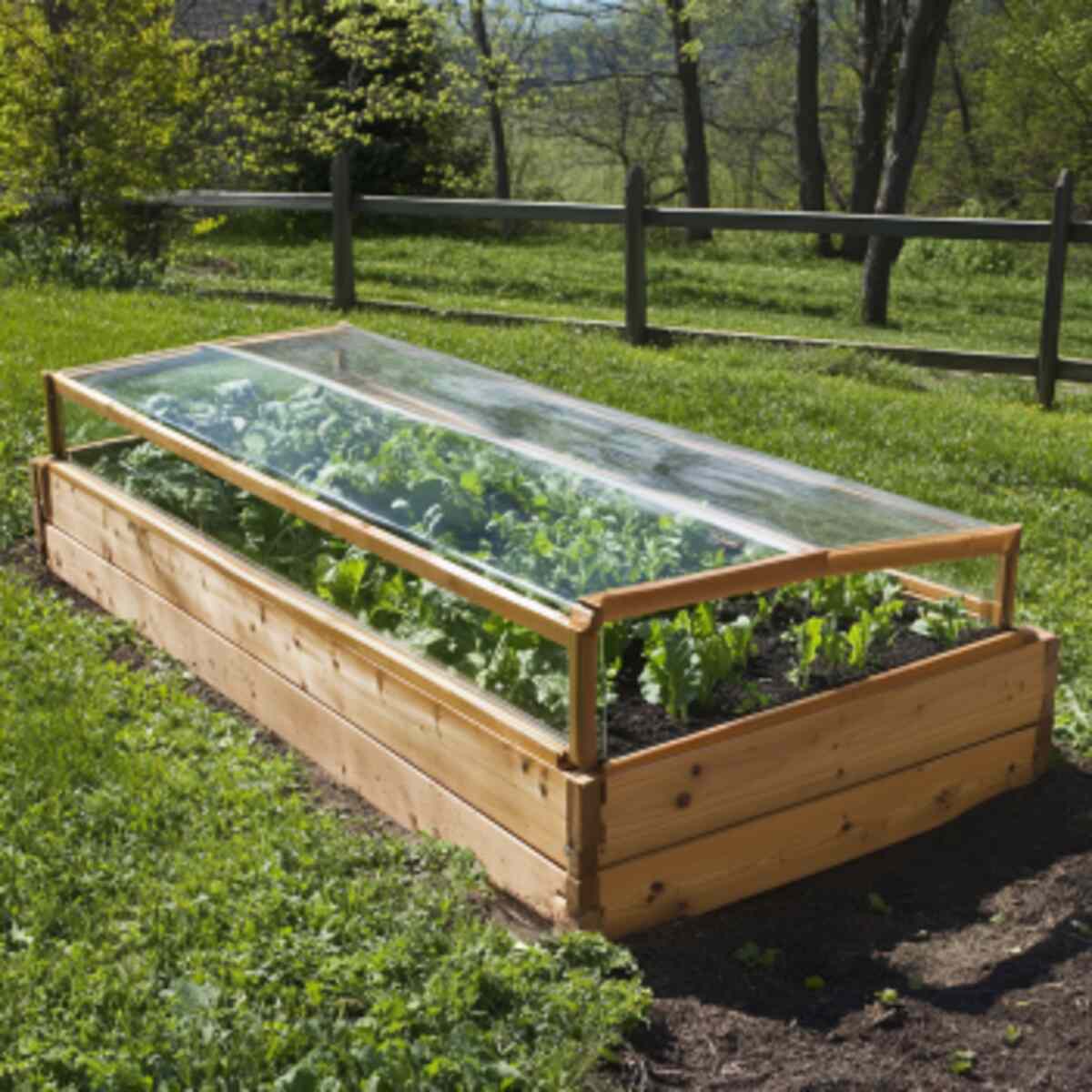 21 Beautiful Cold Frame Gardening Ideas to Try This Season(03)