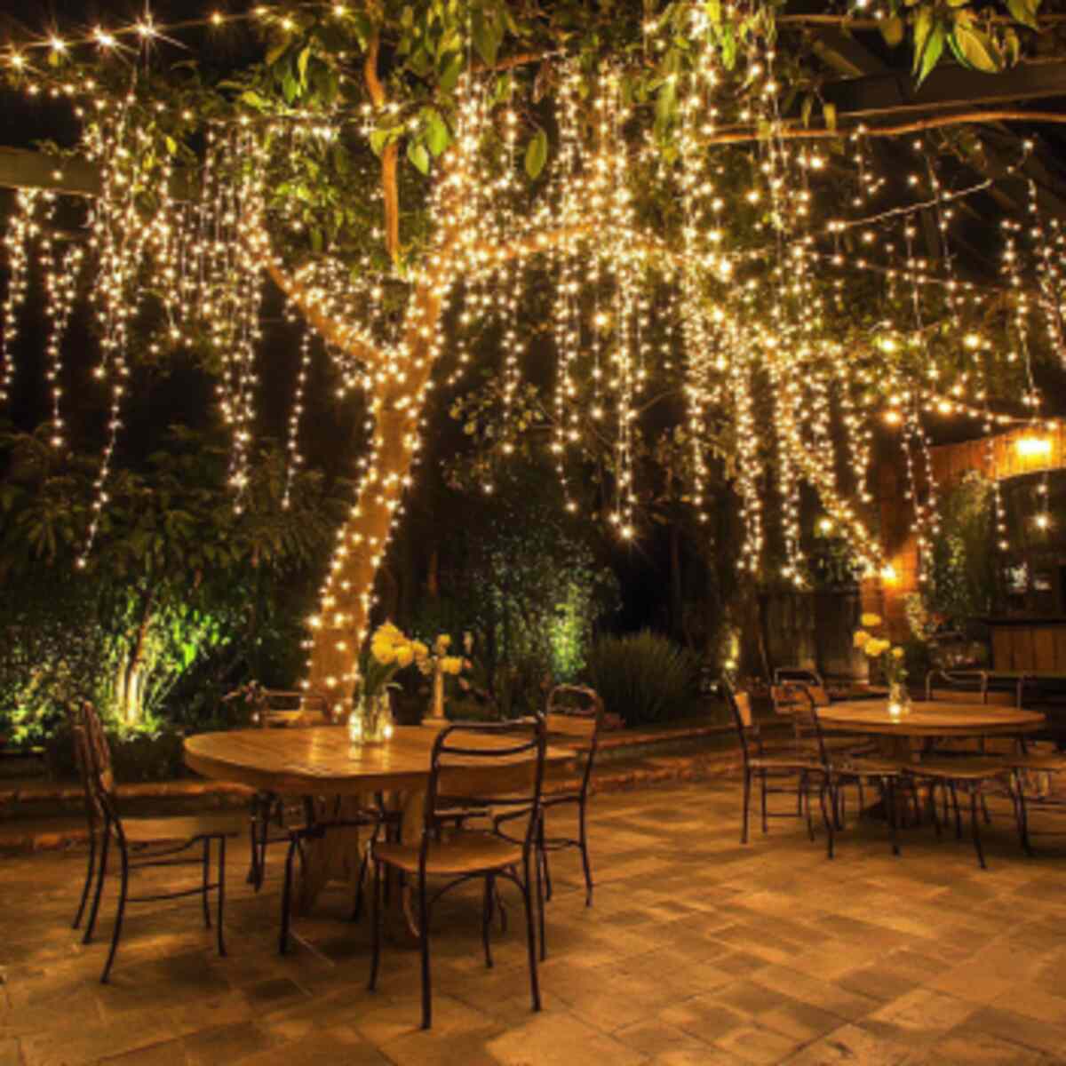 15 Easy and Beautiful Garden Canopy Ideas for Every Backyard