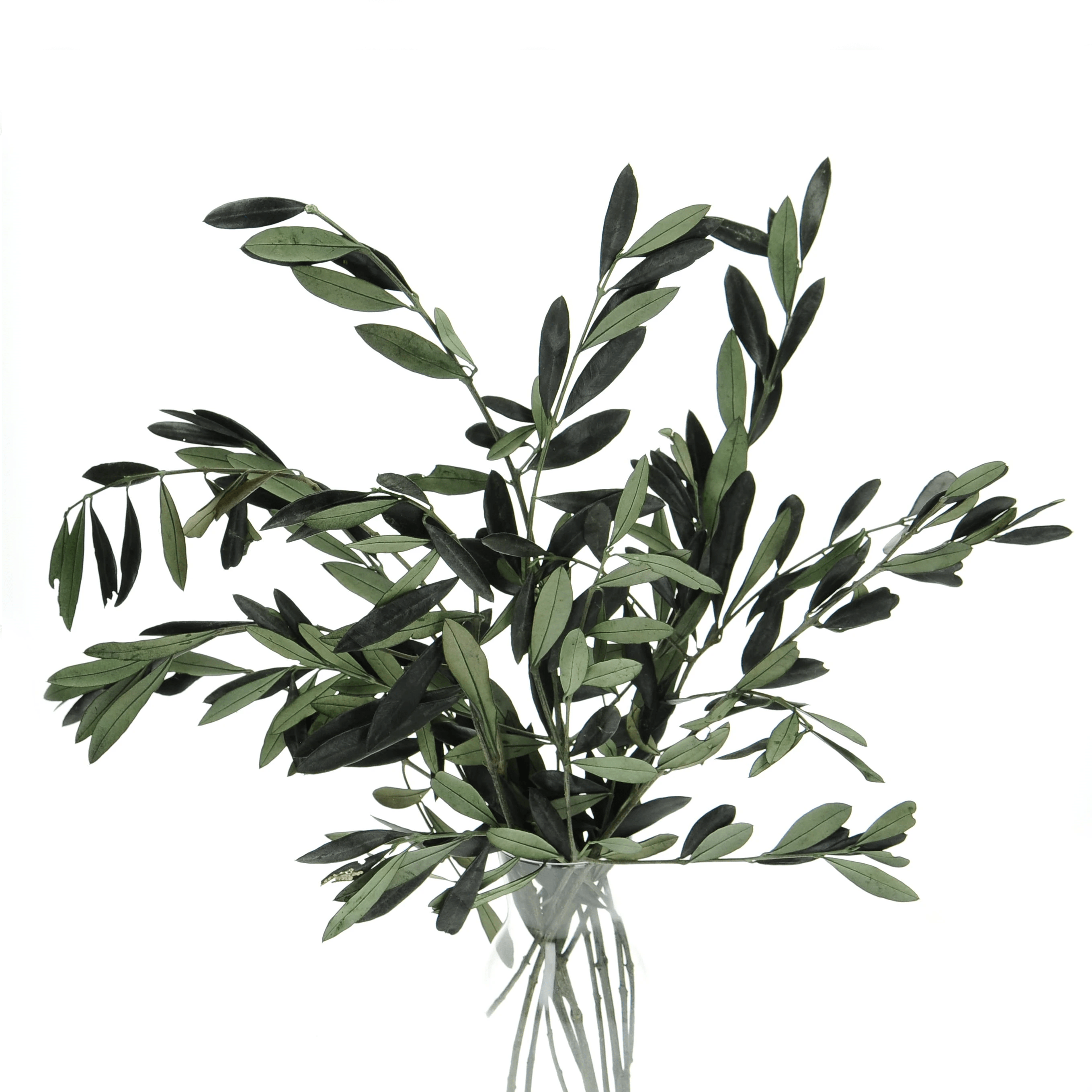 Preserved Olive leaves bunch Blosmi suszone kwiaty i trawy do