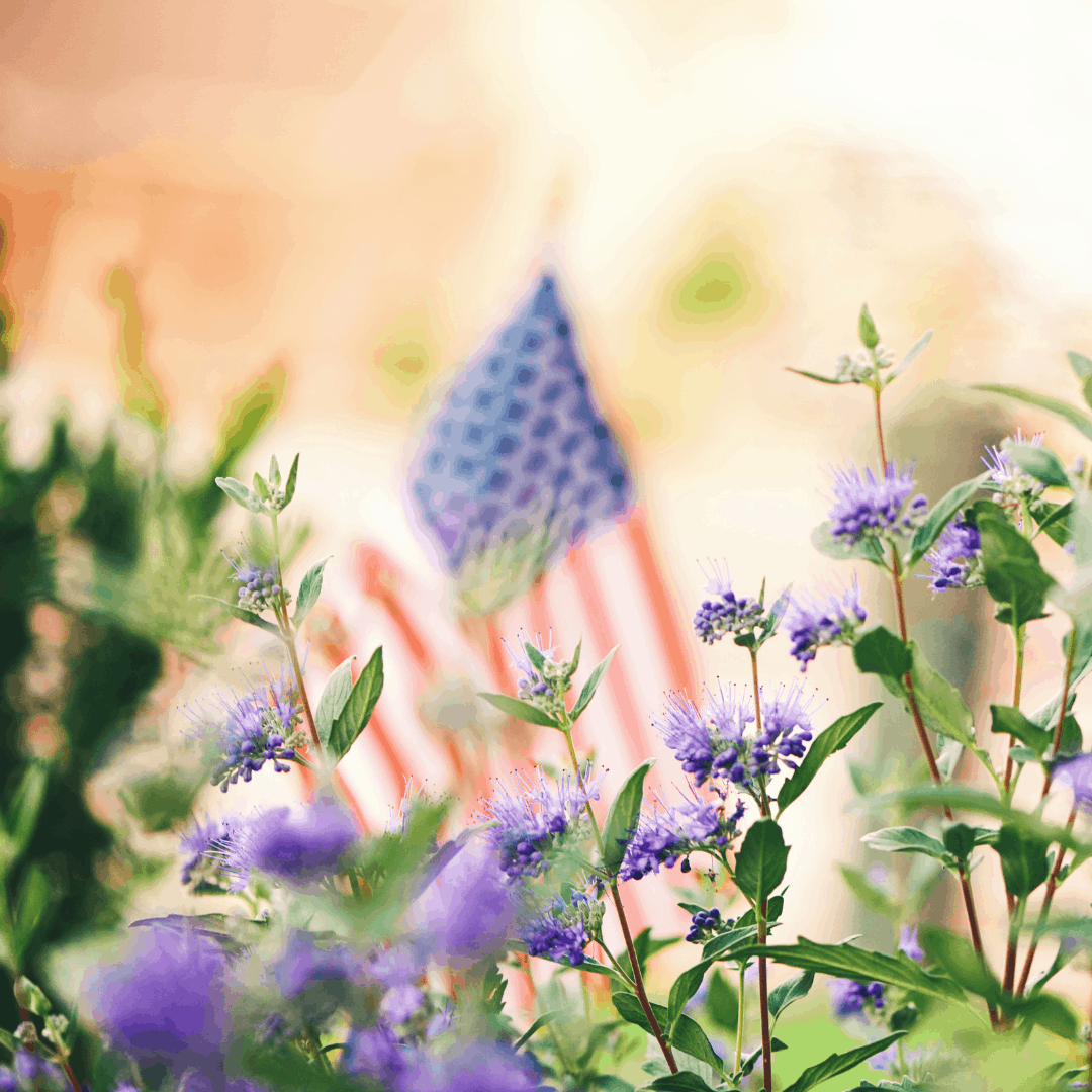 Military Spouse Appreciation Day 2021 Blossom Marketing