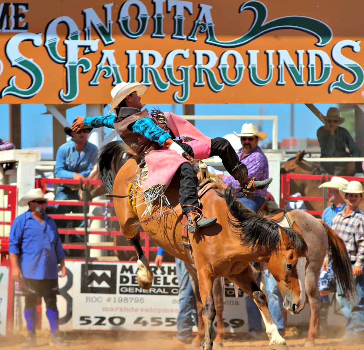 Sonoita, Arizona The Ultimate Visitors Guide