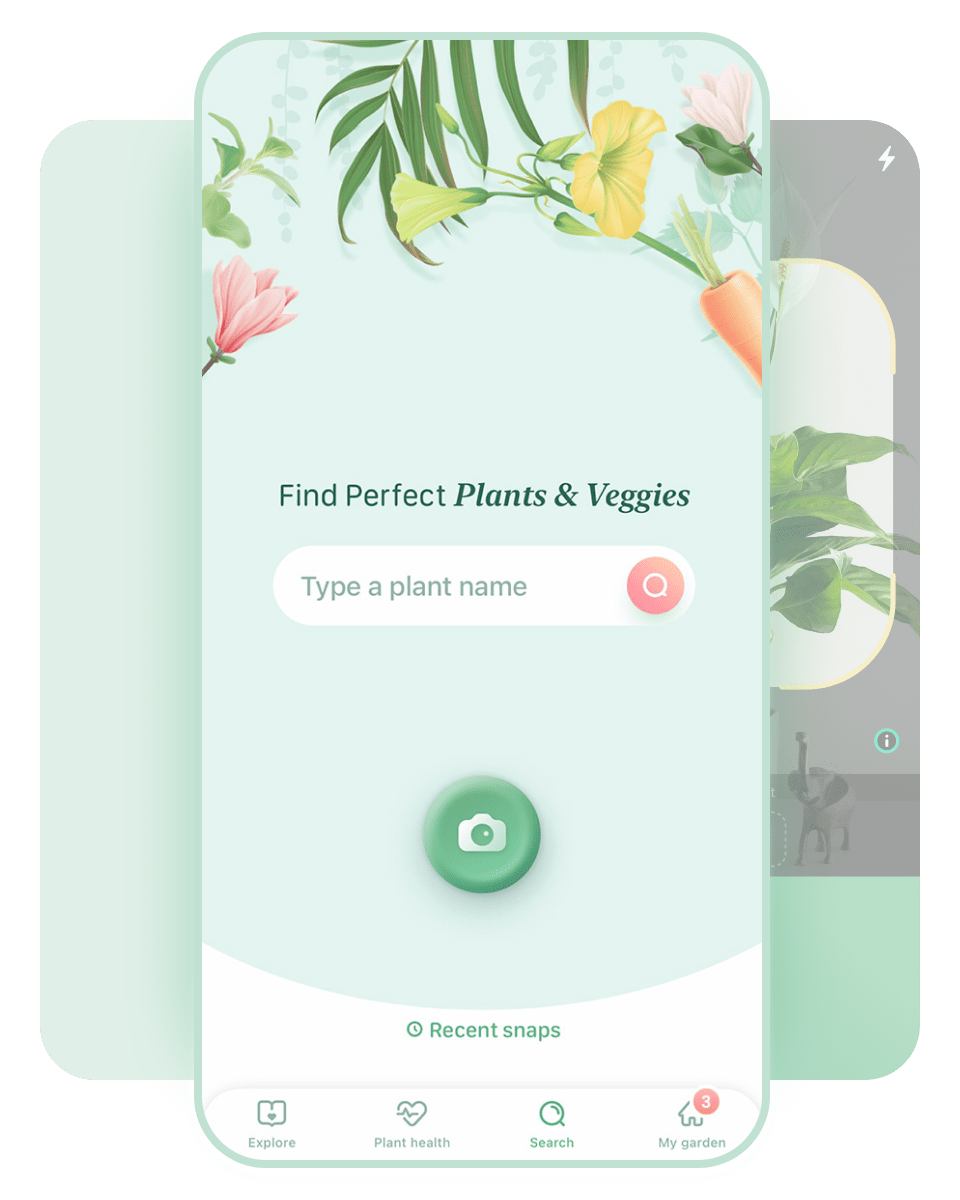 Blossom Plant Identification