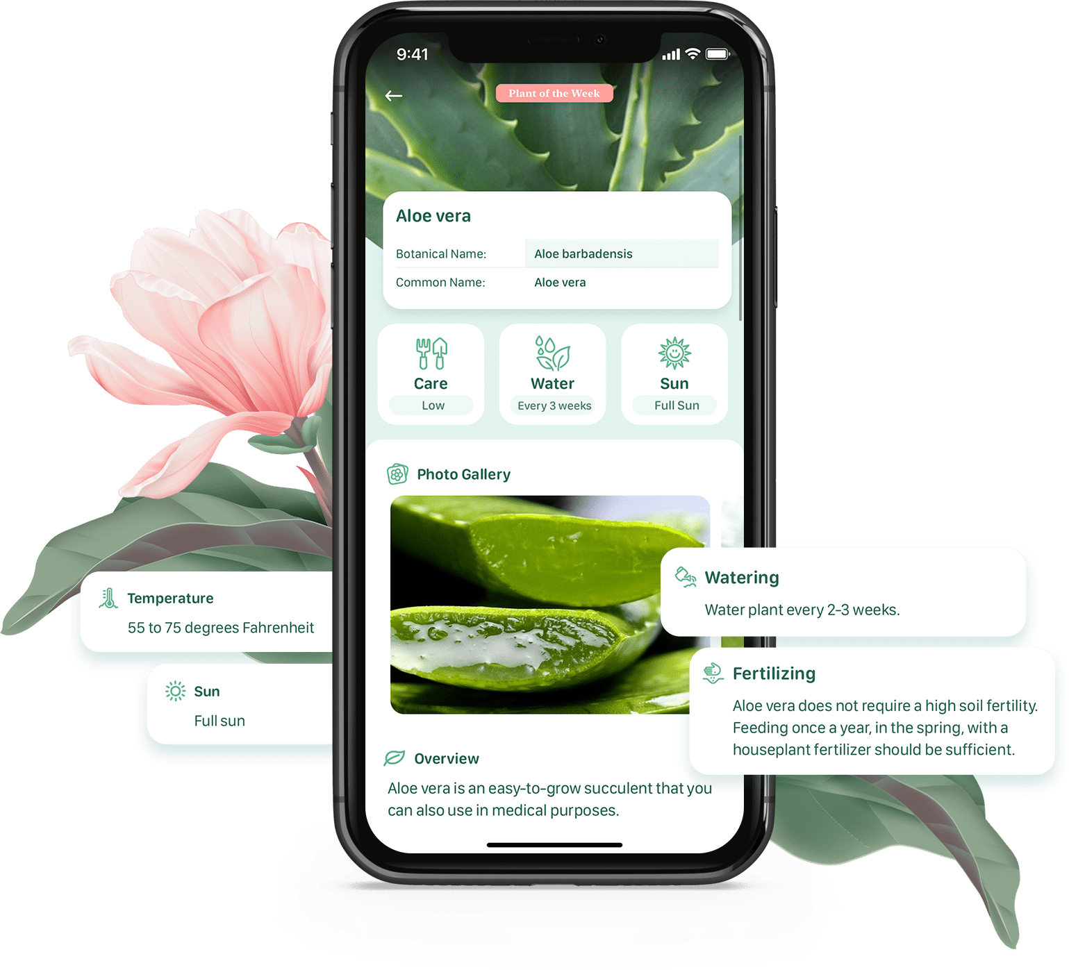 Blossom Plant Care Companion