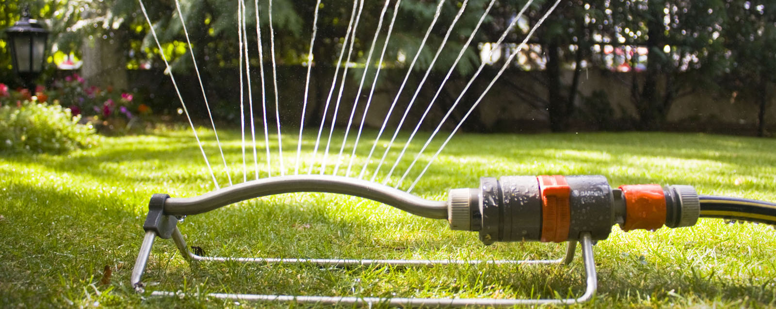 Garden Maintenance Garden Maintenance In Chennai