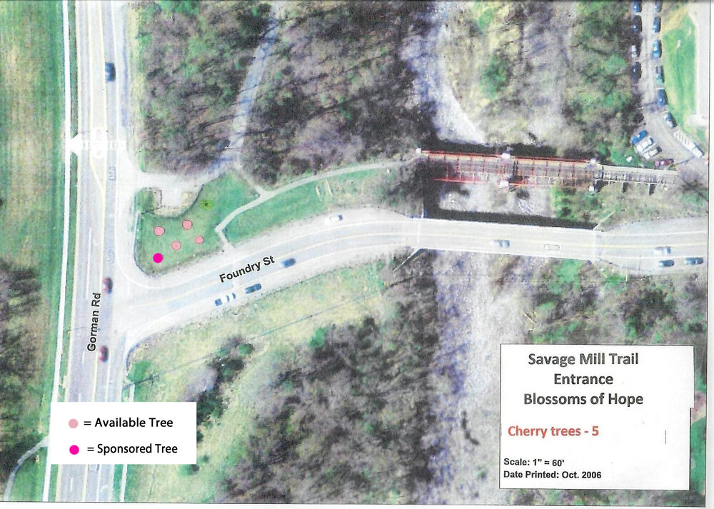 Tree Hugger Sponsorship, Savage Mill Trail Blossoms of Hope